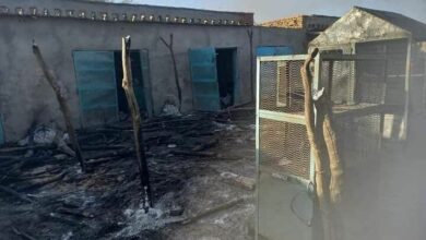 بشريات من وسط دارفور.. اليك التفاصيل