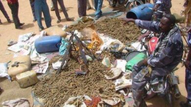 ضبط “17 ” ألف قندول حشيش داخل شحنة أمباز بالنهود