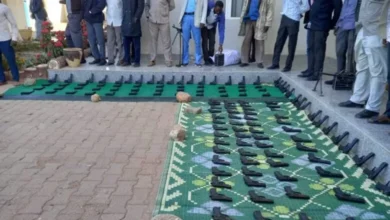 جهاز الأمن و المخابرات .. يضبط شحنة مسدسات