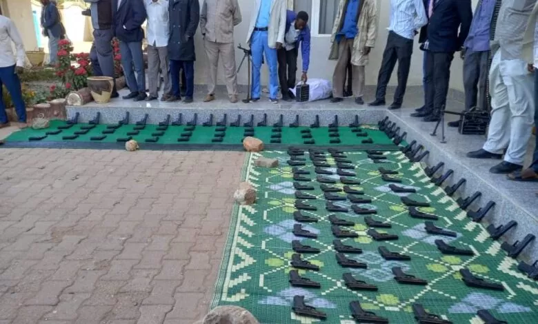 جهاز الأمن و المخابرات .. يضبط شحنة مسدسات