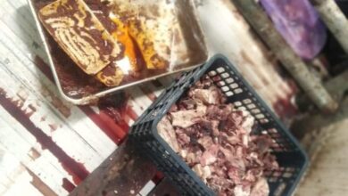 بحري تنجو من كارثة بئية